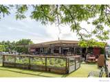 801 Walnut Street - Photo 40