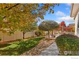 10203 Audrey Street - Photo 38