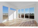 733 Kubat Lane - Photo 5