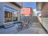 1998 Foxtail Lane - Photo 11