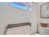 1998 Foxtail Lane - Photo 21
