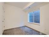 1998 Foxtail Lane - Photo 24