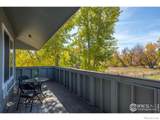 1111 Elysian Field Drive - Photo 19