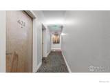 204 Maple Street - Photo 25
