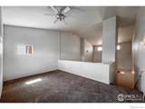 1004 Lucca Drive - Photo 19