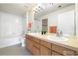 4615 Hahns Peak Drive - Photo 20