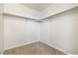 4615 Hahns Peak Drive - Photo 22
