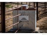 25146 Grandview Way - Photo 16