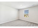 974 Cascade Falls Street - Photo 14