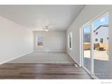 7203 Dolores Avenue - Photo 11