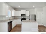 7203 Dolores Avenue - Photo 4