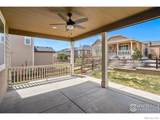 12623 Canoe Street - Photo 36
