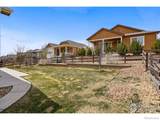 12623 Canoe Street - Photo 39