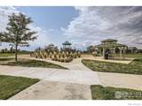 6359 Wildview Lane - Photo 11