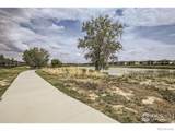 6359 Wildview Lane - Photo 6