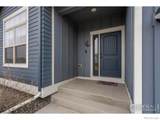 316 Rhubarb Drive - Photo 4