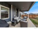 316 Rhubarb Drive - Photo 32