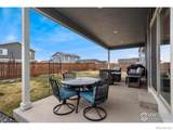 316 Rhubarb Drive - Photo 33