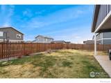 316 Rhubarb Drive - Photo 35