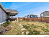 316 Rhubarb Drive - Photo 37