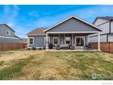 316 Rhubarb Drive - Photo 39