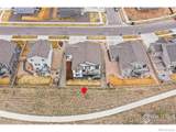 6504 2nd Street - Photo 38