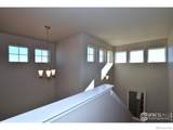 8512 8th Street - Photo 33