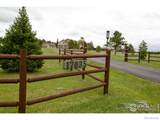 17035 Herring Road - Photo 13
