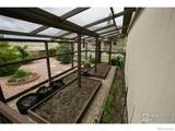 17035 Herring Road - Photo 9
