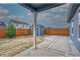 702 Fulton Avenue - Photo 24