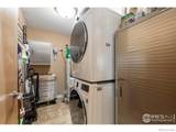 204 Maple Street - Photo 36
