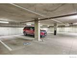 204 Maple Street - Photo 38