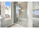 313 Orion Circle - Photo 24