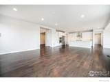 313 Orion Circle - Photo 10