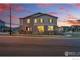 1365 Shale Drive - Photo 37