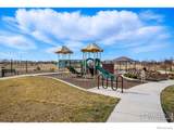 1365 Shale Drive - Photo 40