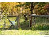 217 Park Street - Photo 13