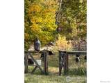 217 Park Street - Photo 15