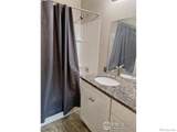 517 Columbine Street - Photo 12