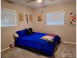 517 Columbine Street - Photo 14