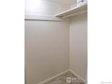 517 Columbine Street - Photo 21