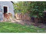 517 Columbine Street - Photo 24