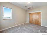 3620 Paonia Street - Photo 37