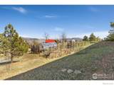 13236 Otter Road - Photo 29