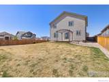 1274 Baker Pass Street - Photo 28
