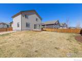 1274 Baker Pass Street - Photo 31