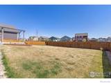 1274 Baker Pass Street - Photo 32
