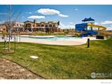16392 Spanish Peak Way - Photo 31