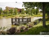 16392 Spanish Peak Way - Photo 36