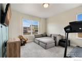 710 Mt Evans Avenue - Photo 4